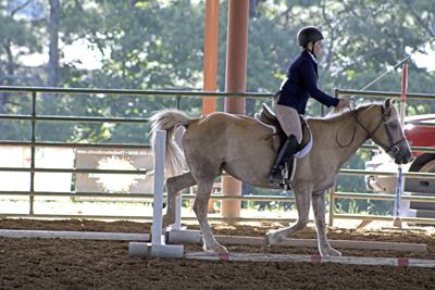 Picture from Catoosa County Saddle Club show