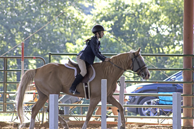 Picture from Catoosa County Saddle Club show
