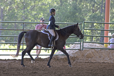 Picture from Catoosa County Saddle Club show