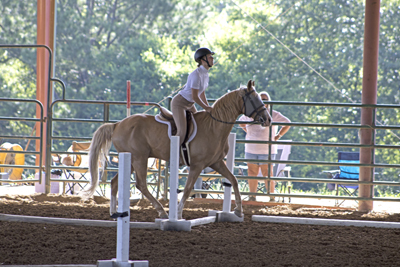 Picture from Catoosa County Saddle Club show
