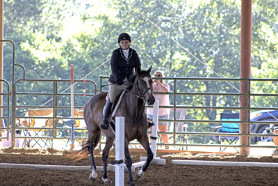 Picture from Catoosa County Saddle Club show