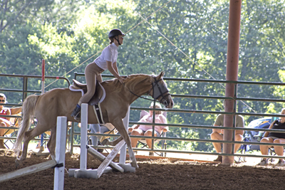 Picture from Catoosa County Saddle Club show