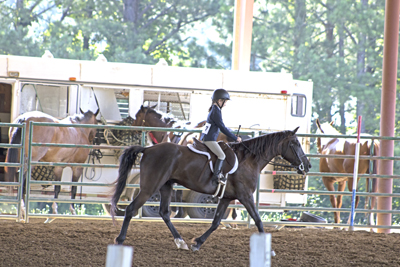 Picture from Catoosa County Saddle Club show