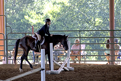 Picture from Catoosa County Saddle Club show