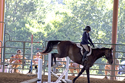 Picture from Catoosa County Saddle Club show