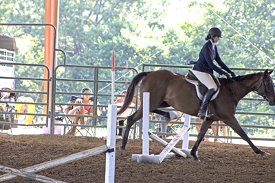 Picture from Catoosa County Saddle Club show