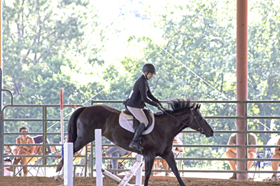 Picture from Catoosa County Saddle Club show