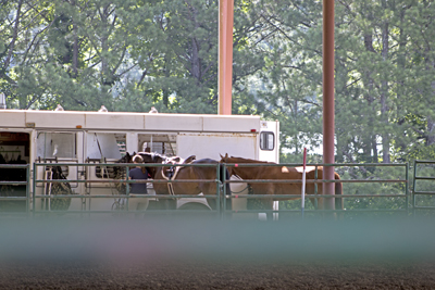 Picture from Catoosa County Saddle Club show