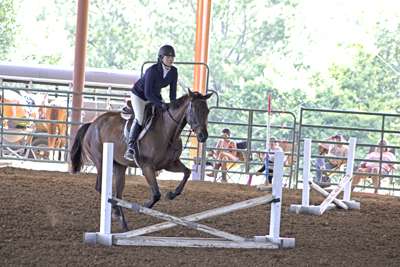 Picture from Catoosa County Saddle Club show