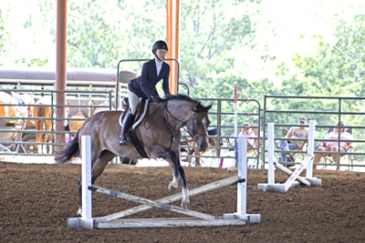 Picture from Catoosa County Saddle Club show