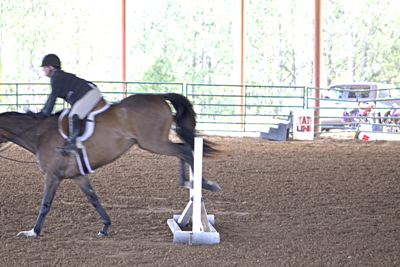 Picture from Catoosa County Saddle Club show