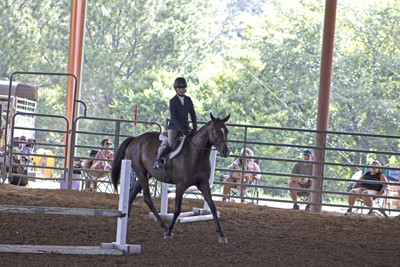 Picture from Catoosa County Saddle Club show