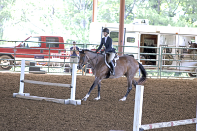Picture from Catoosa County Saddle Club show