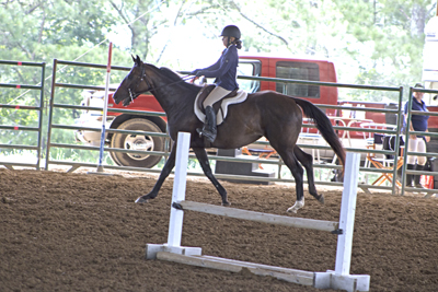 Picture from Catoosa County Saddle Club show