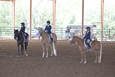 Picture from Catoosa County Saddle Club show