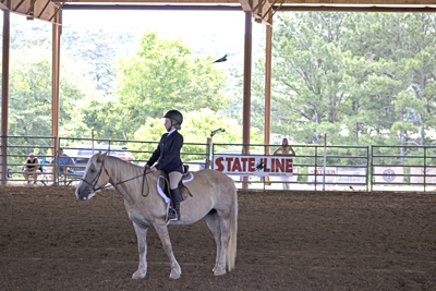 Picture from Catoosa County Saddle Club show