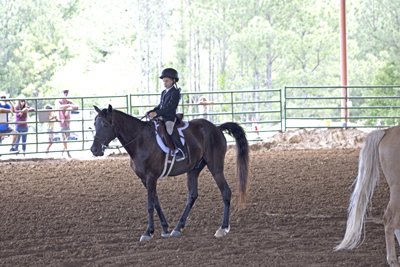 Picture from Catoosa County Saddle Club show