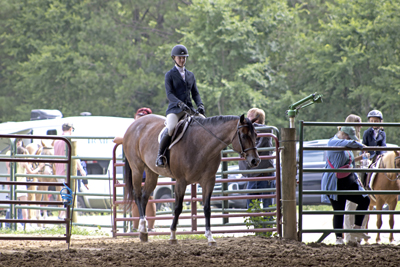 Picture from Catoosa County Saddle Club show