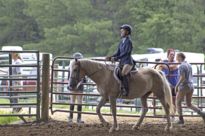 Picture from Catoosa County Saddle Club show