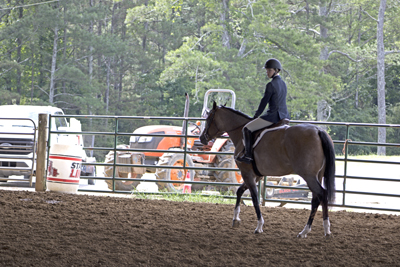 Picture from Catoosa County Saddle Club show