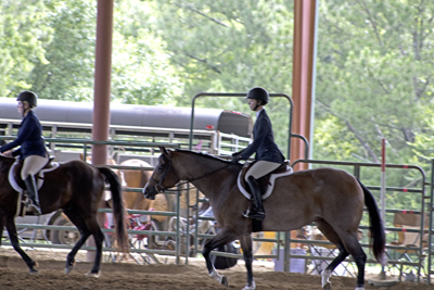 Picture from Catoosa County Saddle Club show
