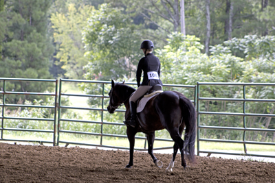 Picture from Catoosa County Saddle Club show