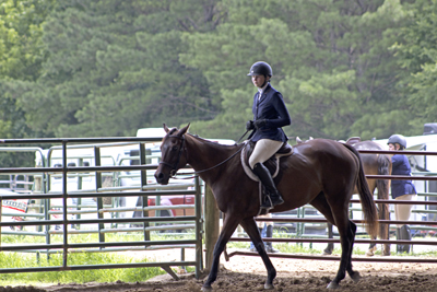 Picture from Catoosa County Saddle Club show