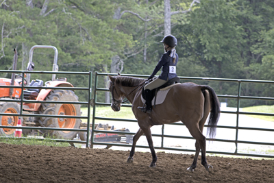 Picture from Catoosa County Saddle Club show