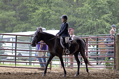 Picture from Catoosa County Saddle Club show