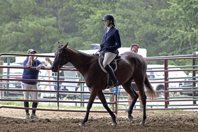 Picture from Catoosa County Saddle Club show