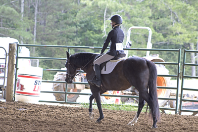 Picture from Catoosa County Saddle Club show