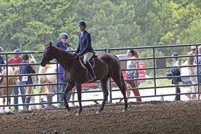 Picture from Catoosa County Saddle Club show