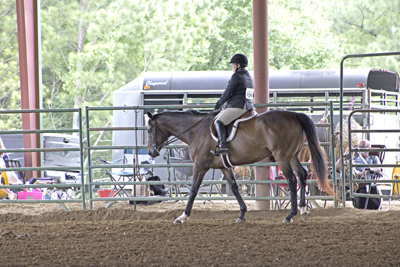 Picture from Catoosa County Saddle Club show