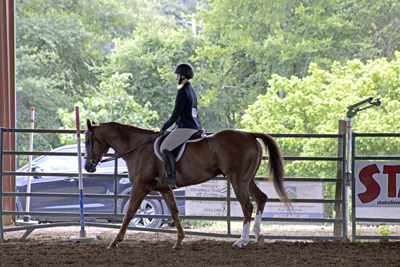 Picture from Catoosa County Saddle Club show