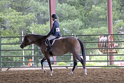 Picture from Catoosa County Saddle Club show