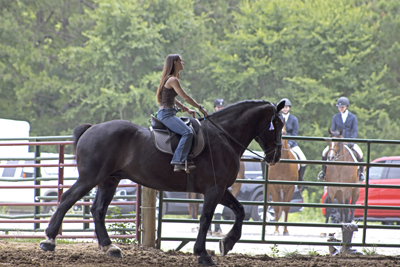 Picture from Catoosa County Saddle Club show