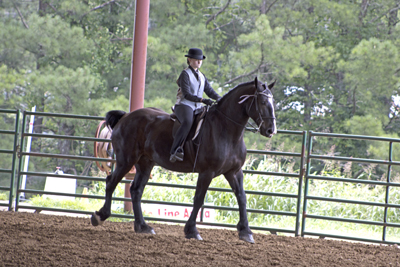 Picture from Catoosa County Saddle Club show
