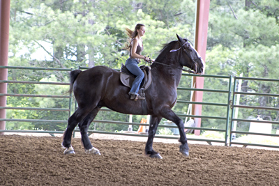 Picture from Catoosa County Saddle Club show