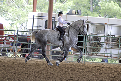 Picture from Catoosa County Saddle Club show