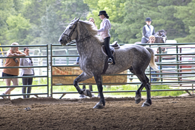 Picture from Catoosa County Saddle Club show