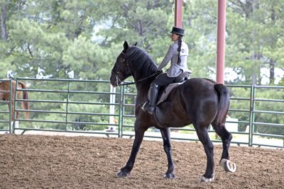 Picture from Catoosa County Saddle Club show