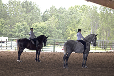 Picture from Catoosa County Saddle Club show