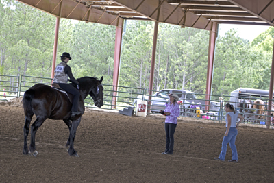 Picture from Catoosa County Saddle Club show