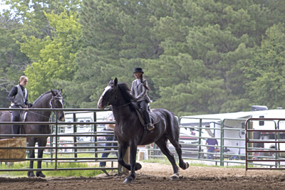 Picture from Catoosa County Saddle Club show