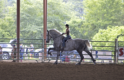 Picture from Catoosa County Saddle Club show