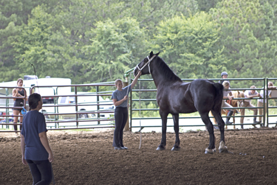 Picture from Catoosa County Saddle Club show