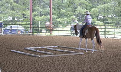Picture from Catoosa County Saddle Club show
