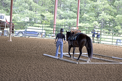 Picture from Catoosa County Saddle Club show
