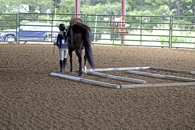 Picture from Catoosa County Saddle Club show