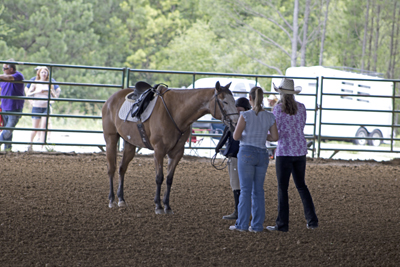Picture from Catoosa County Saddle Club show